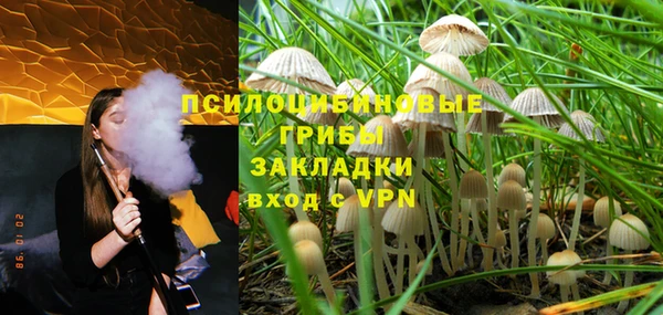 твердый Балахна