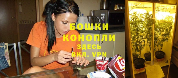 твердый Балахна